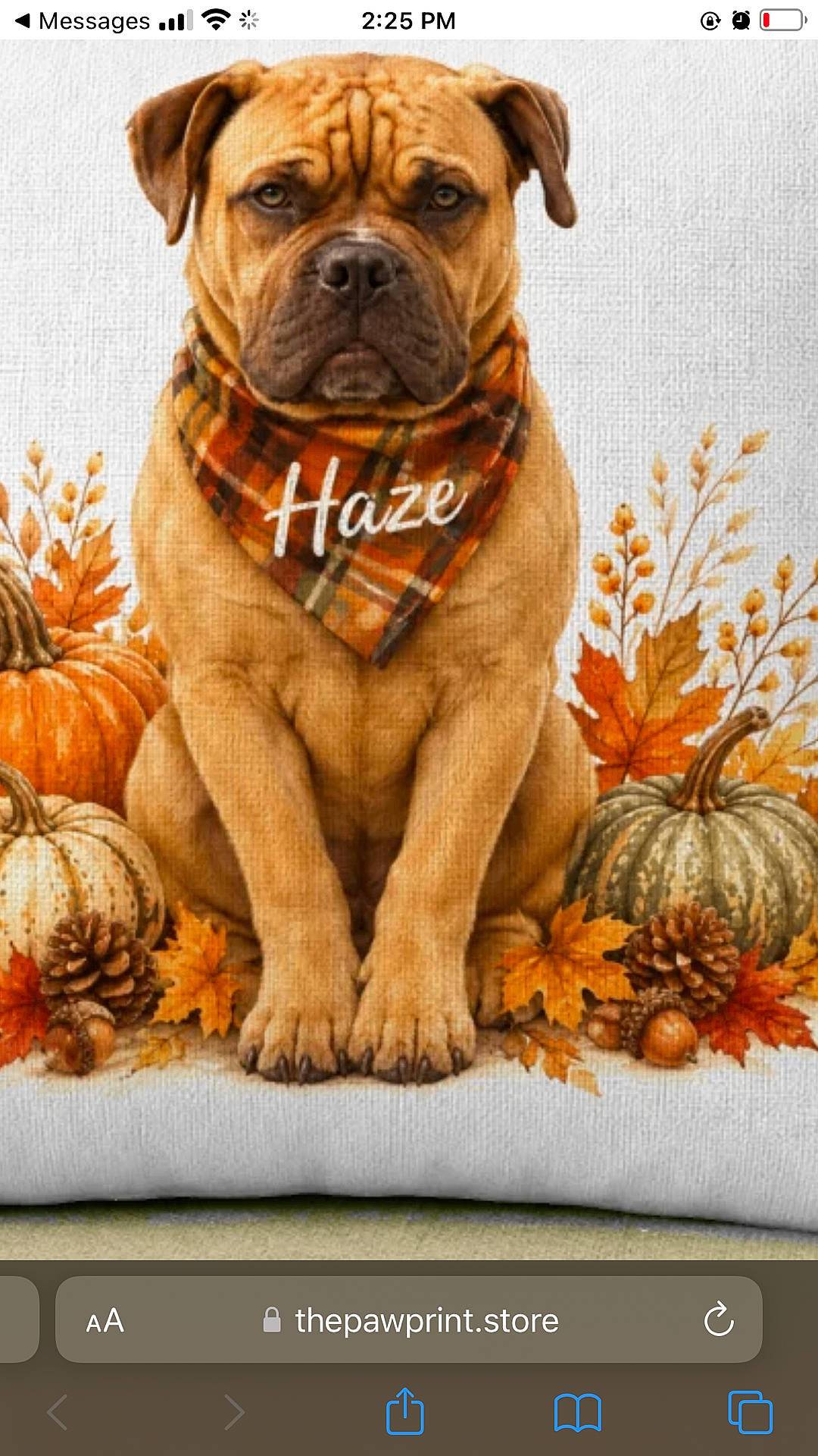 Haze