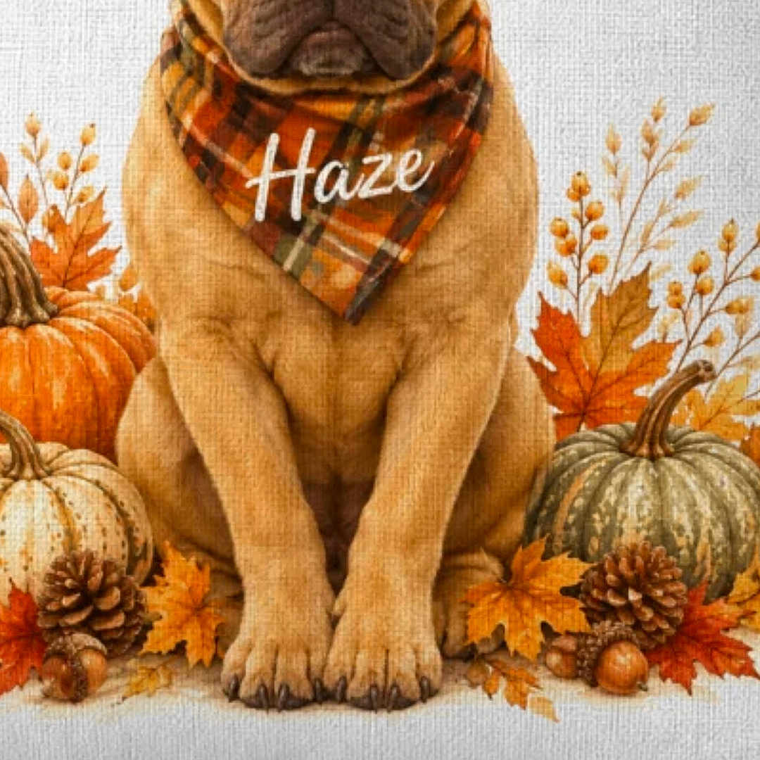 Haze