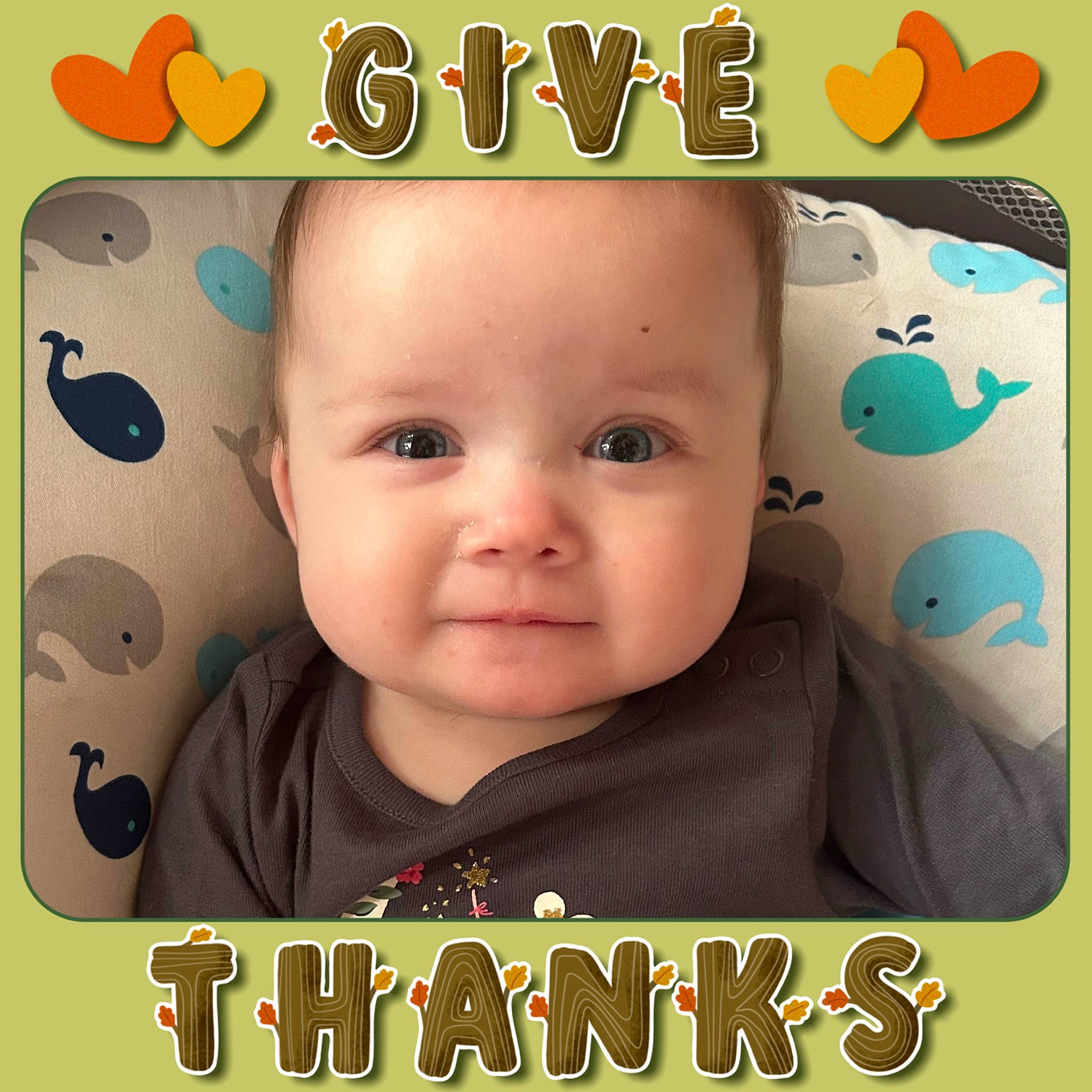 Adaline is registered to the contest to win money with this photo: art, baby, baby_toddler_clothing, cheek, child, chin, cool, eyebrow, facial_expression, font, happy, logo, person, photo_caption, poster, product, publication, smile, t_shirt, toddler