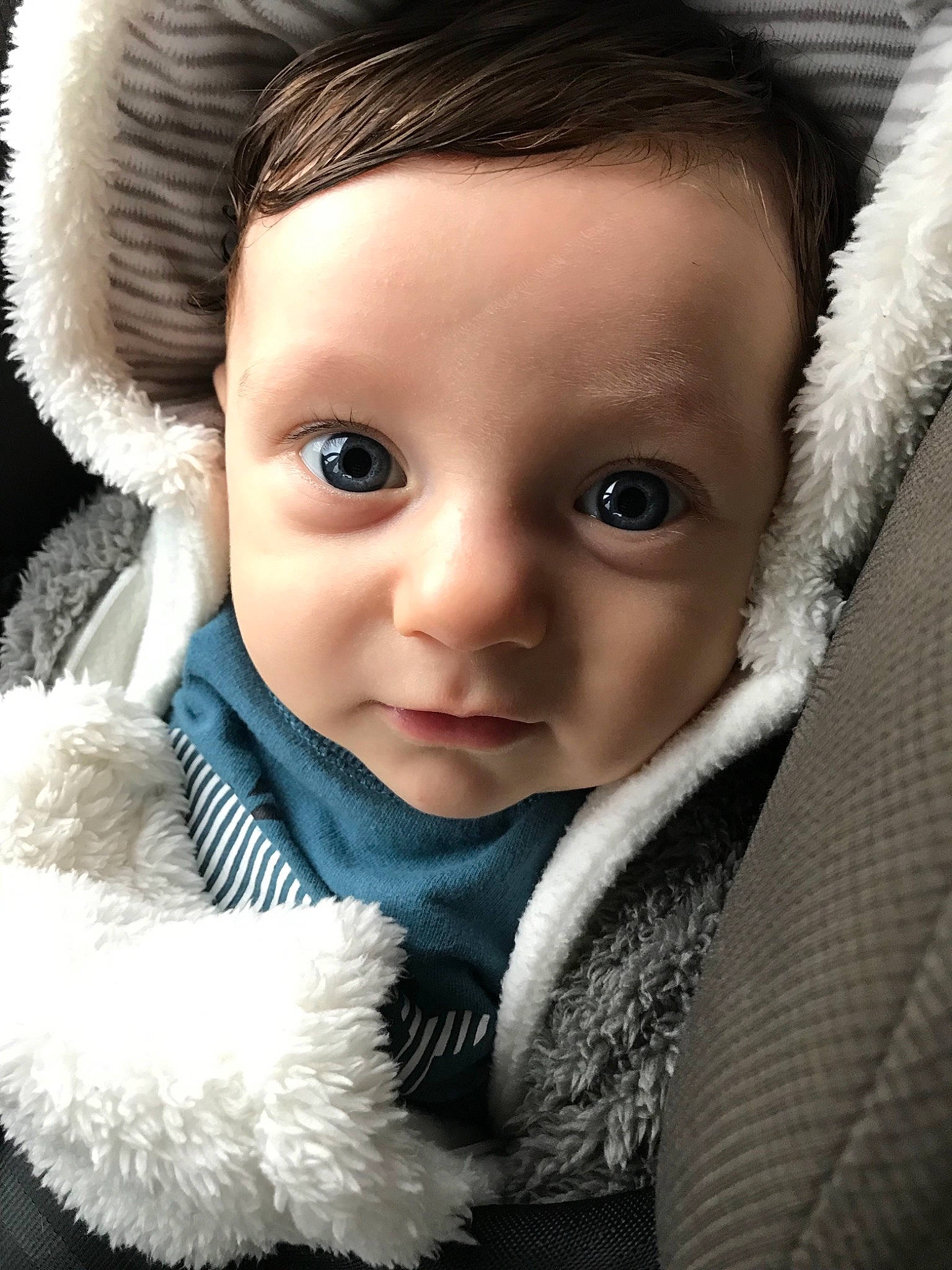 Liam a rejoint le concours — aidez-le/la à gagner de superbes lots ! baby, beauty, car_seat, cheek, child, child_model, eye, eyebrow, face, fur, fur_clothing, head, iris, lip, nose, outerwear, person, photography, skin, textile