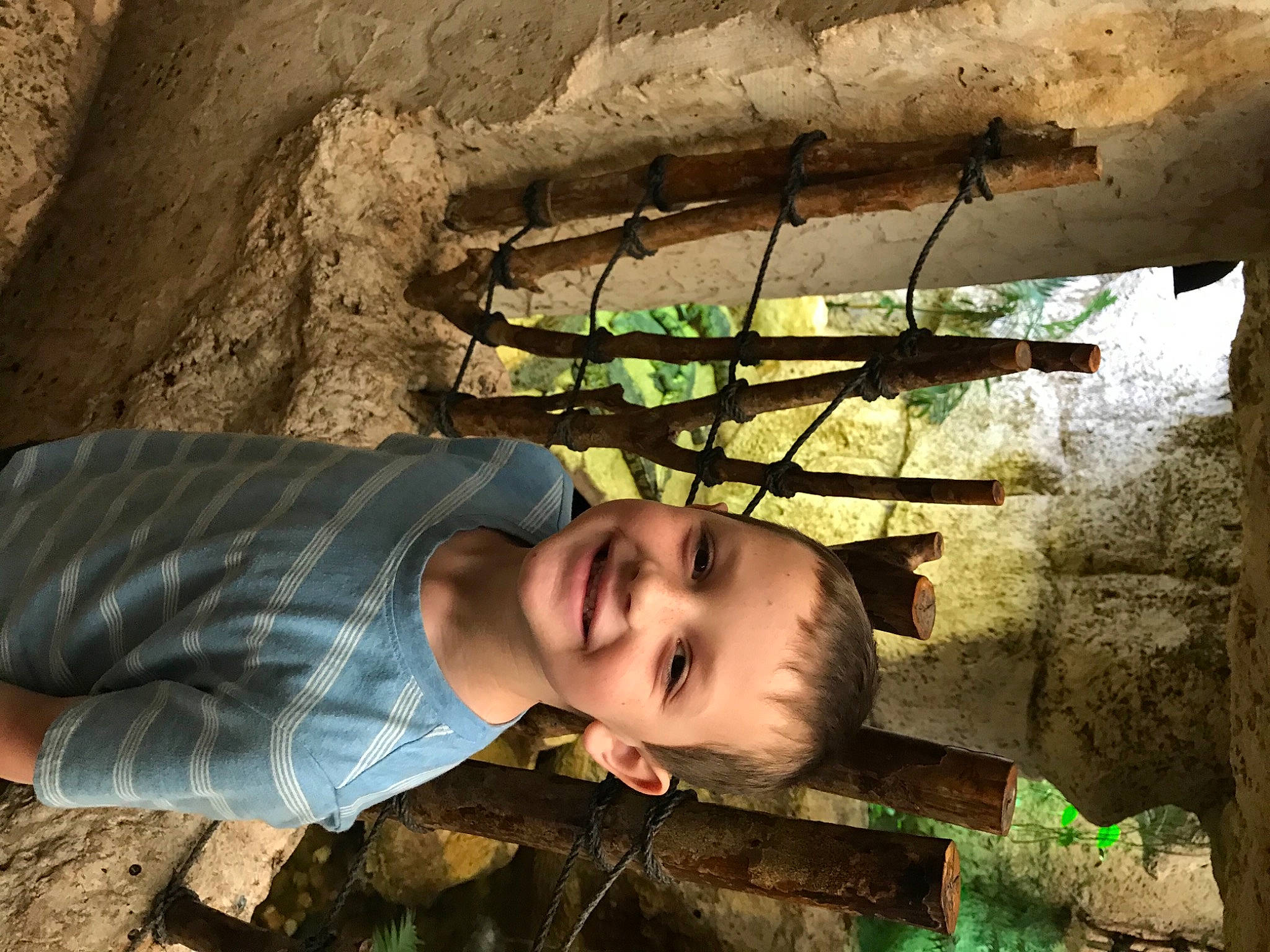 Kolt is registered to the contest to win money with this photo: adaptation, branch, flash_photography, fun, grass, green, happy, joy, landscape, leaf, leisure, nature, people_in_nature, person, plant, skin, smile, tints_and_shades, tree, trunk