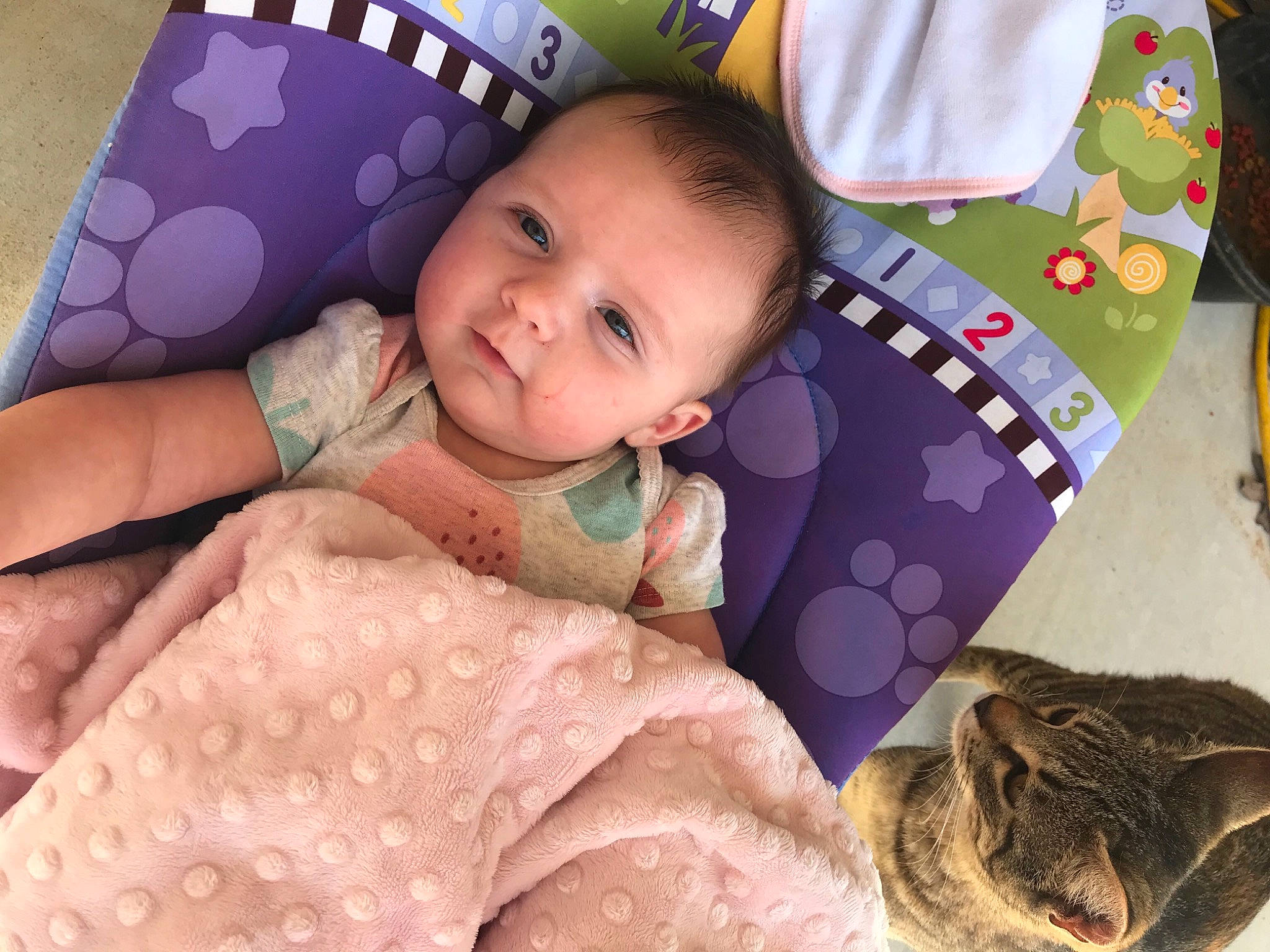 Mila is registered to the contest to win money with this photo: baby, baby_toddler_clothing, carnivore, cat, cheek, child, comfort, face, felidae, happy, head, human, person, pink, skin, sleeve, small_to_medium_sized_cats, smile, textile, toddler