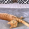 cat, orange_tabby, bed, blanket, pillow, patterned_pillow, striped_cat, feline, relaxed, stretched_out, indoor, soft_texture, resting, sleepy, domestic_animal, pet, cozy, comfortable, home, furniture