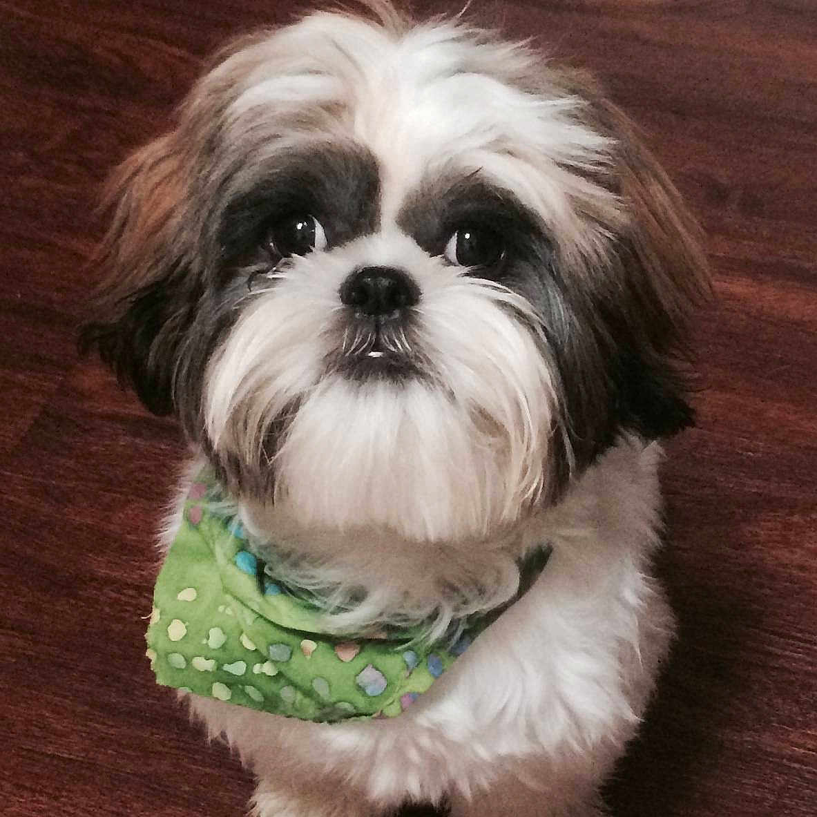 Silas is registered to the contest to win money with this photo: