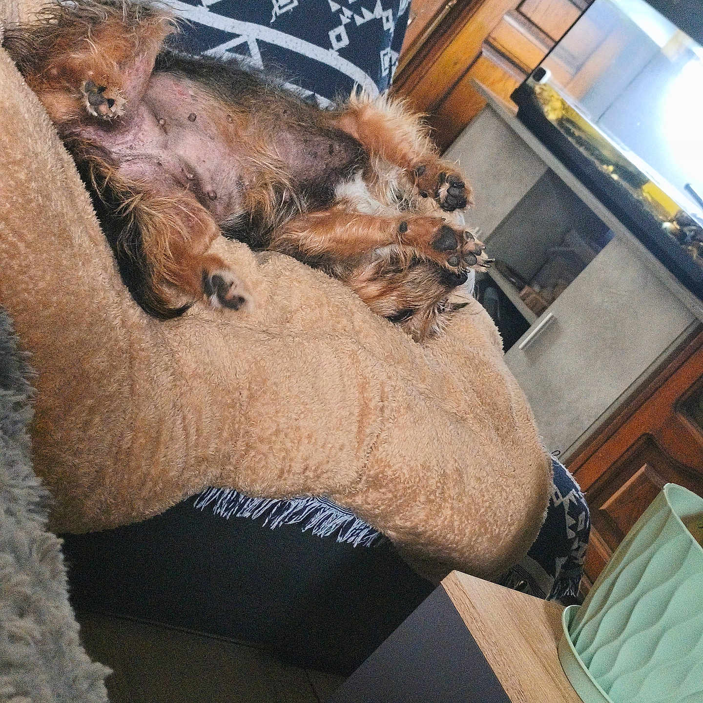 Mia