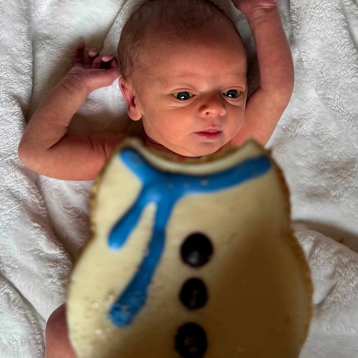 Maverick is registered to the contest to win money with this photo: arms, baby, background_blur, blanket, blue, cookie, cute, eyes, face, focus, food, hand, icing, indoor, infant, newborn, portrait, snowman, soft_texture, white