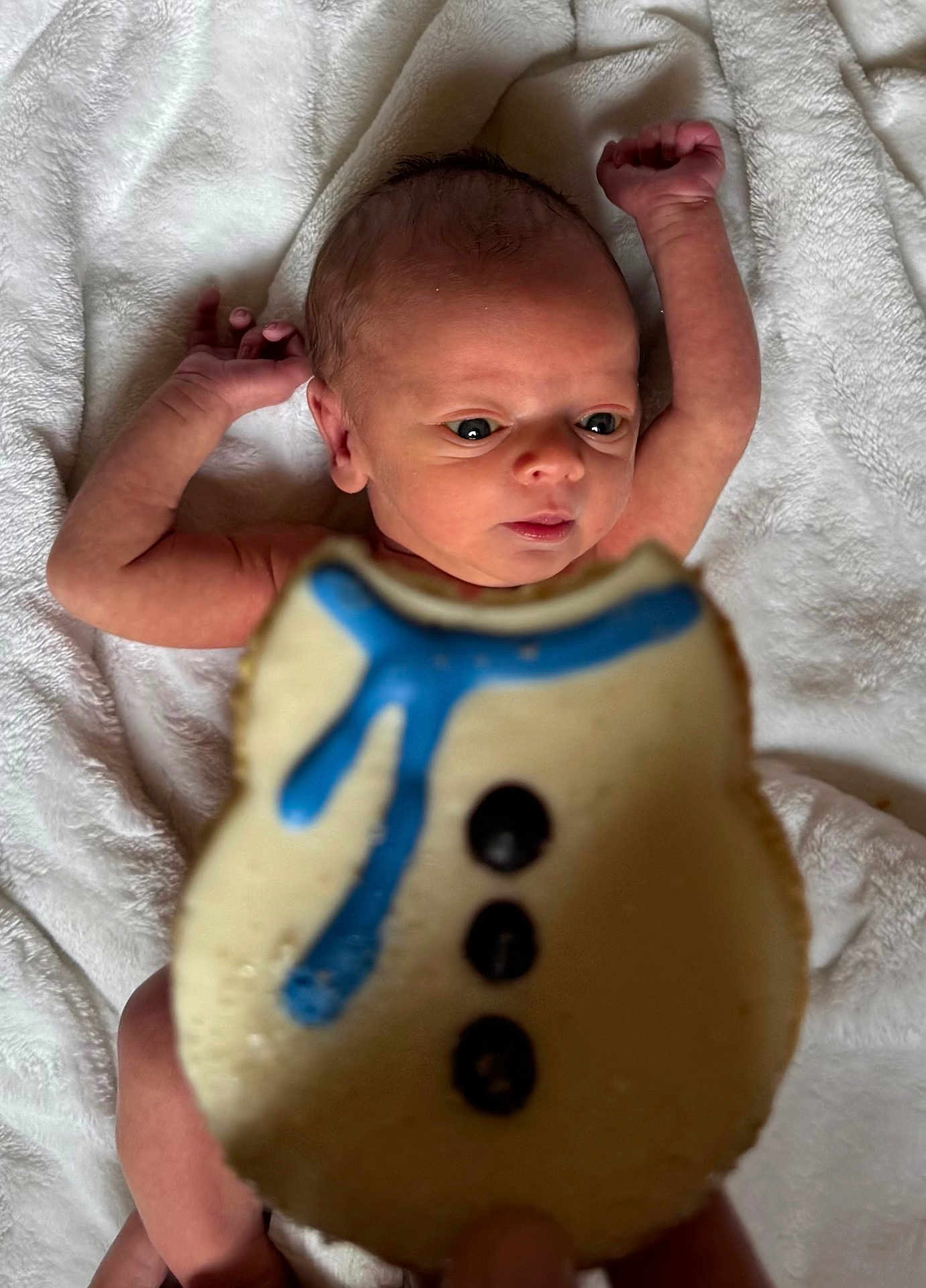 Maverick is registered to the contest to win money with this photo: newborn, baby, infant, face, eyes, arms, blanket, white, cookie, icing, blue, snowman, food, hand, focus, background_blur, soft_texture, cute, portrait, indoor