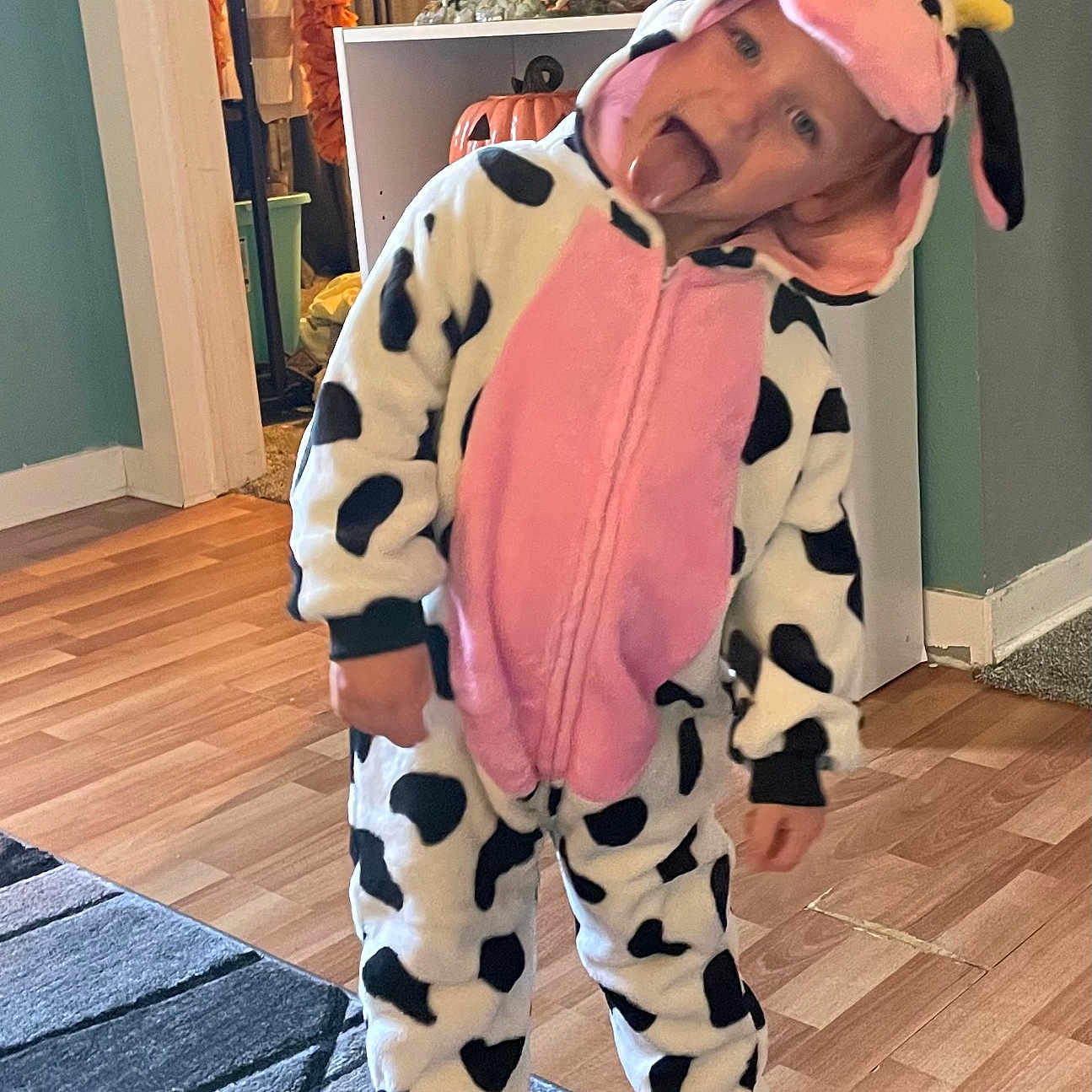 Nyx joined the competition — help win amazing prizes! baby, cap, clothing, costume, face, formalwear, happy, hardwood, hat, head, hosiery, pajamas, performer, person, photography, portrait, sock, soloperformance, suit, yawning