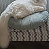 cat, fluffy, white_cat, pet, animal, portrait, lounging, sitting, cushion, chair, furniture, radiator, indoors, home, wooden_floor, striped_pattern, long_tail, blue_eyes, relaxed, photography