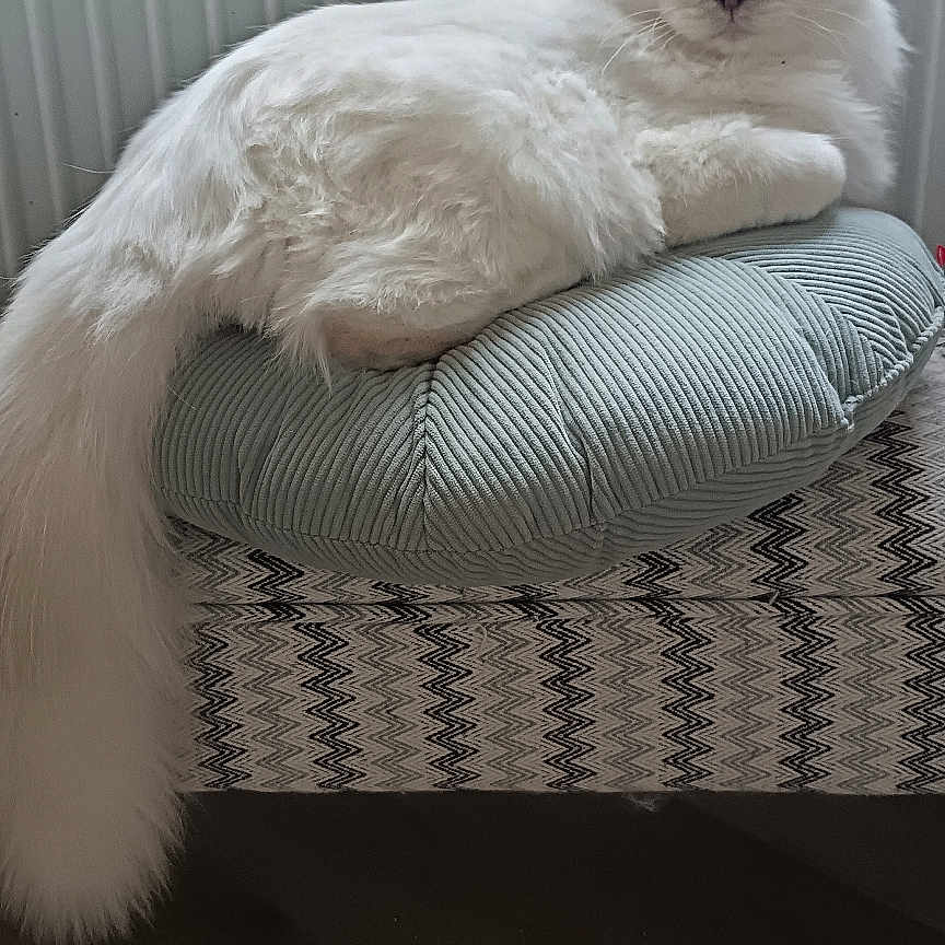 Azur