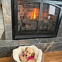 animal, comfort, cozy, cute, dog_bed, fire, fireplace, flames, golden_retriever, home, indoor, pet, pink_harness, puppy, relaxing, resting, stone, tile_floor, warm, wood_floor