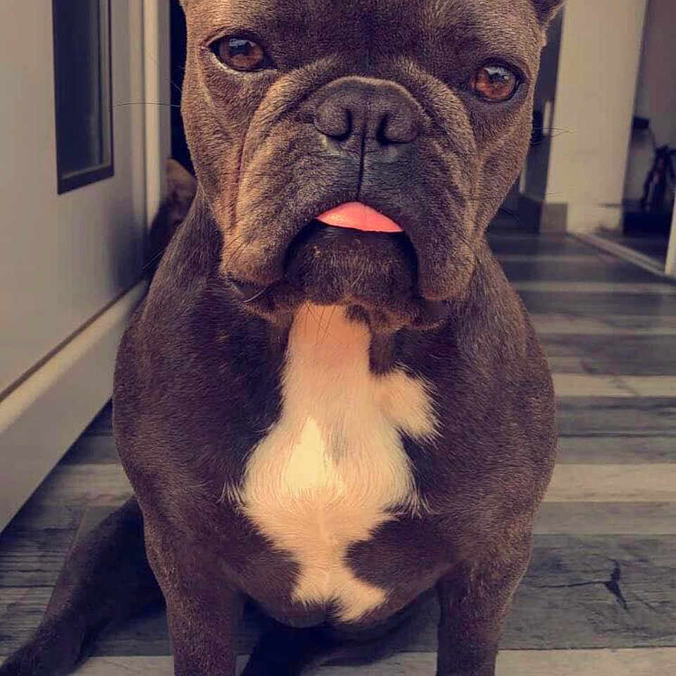 Synna