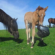 Elliot a rejoint le concours — aidez-le/la à gagner de superbes lots !