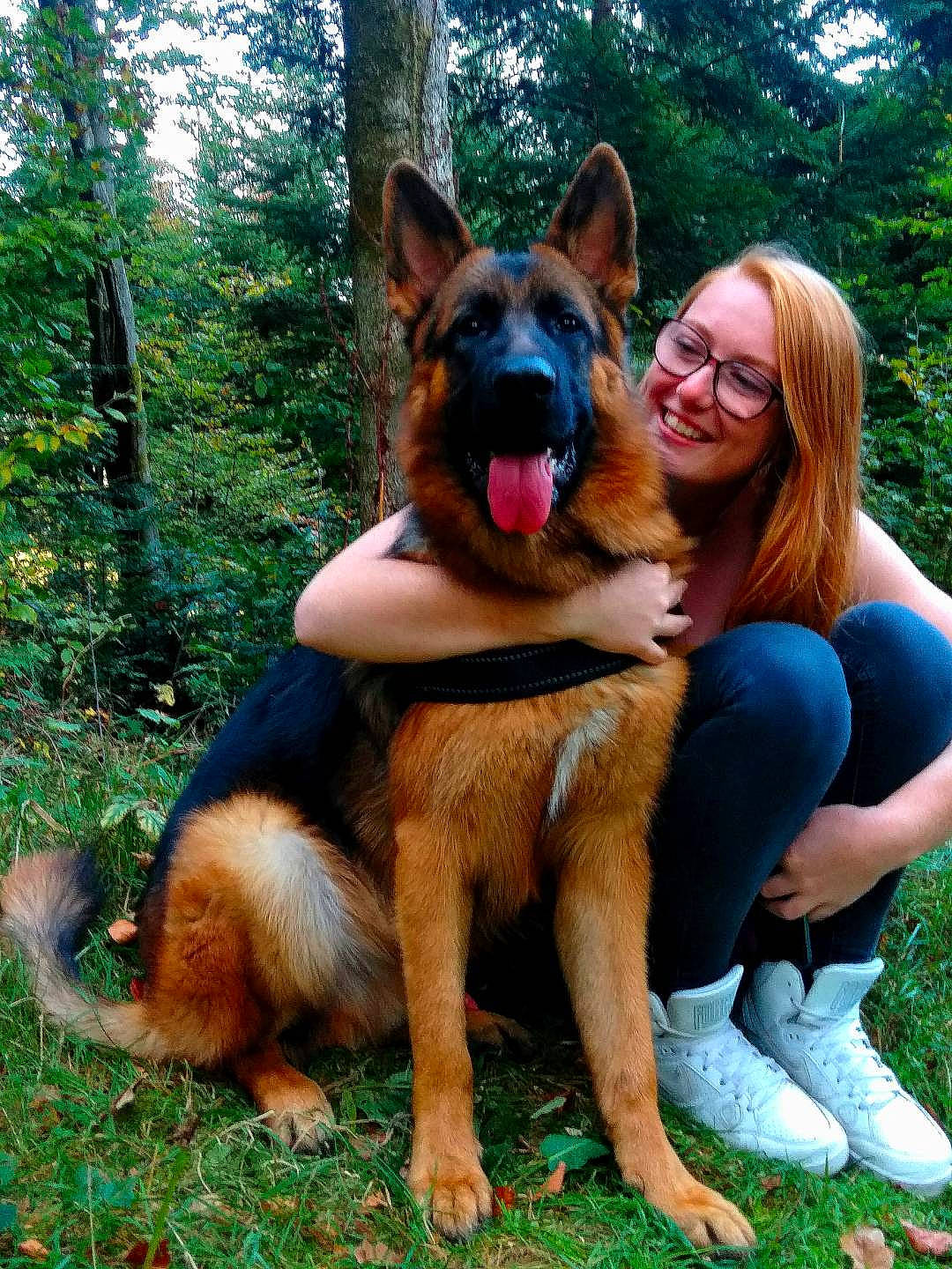 Tony a rejoint le concours — aidez-le/la à gagner de superbes lots ! carnivoran, dog, dog_breed, dog_breed_group, dog_like_mammal, east_european_shepherd, german_shepherd_dog, grass, joy, king_shepherd, kunming_wolfdog, old_german_shepherd_dog, person, snout