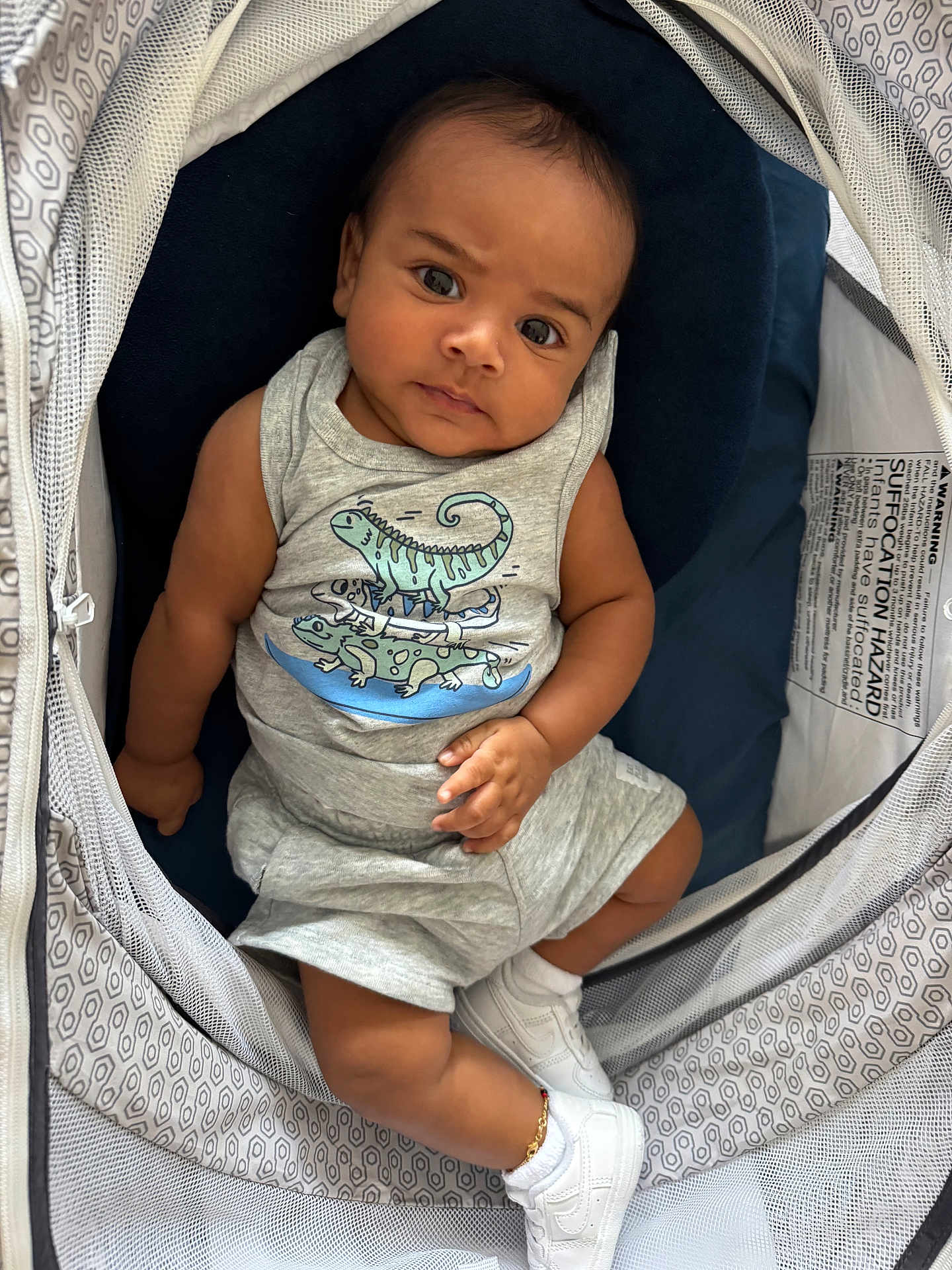 Adonis joined the competition — help win amazing prizes! baby, infant, child, dinosaur_print, grey_clothing, sneakers, anklet, seated, baby_seat, patterned_fabric, mesh, curious_expression, indoors, cute, portrait, small_hands, soft_toys, footwear, casual_outfit, comfortable
