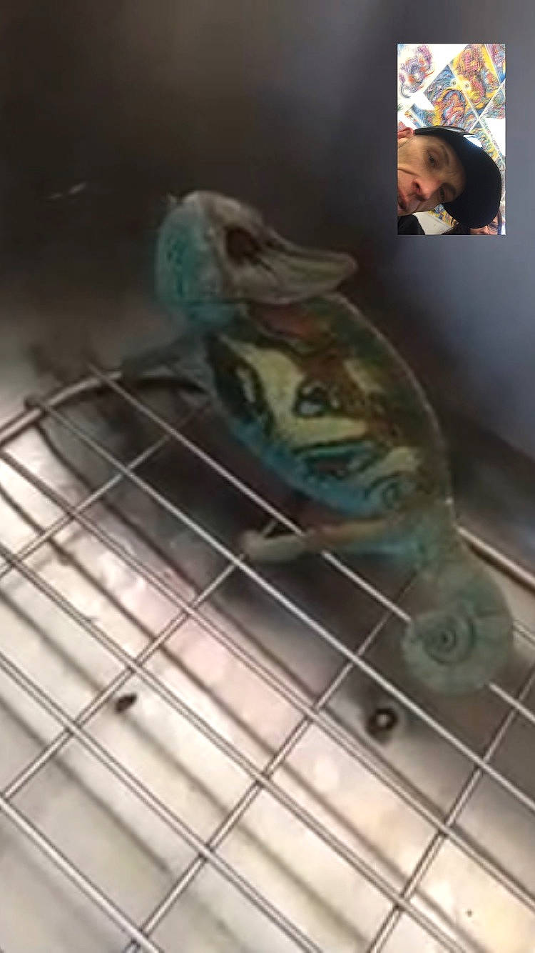 Gaston joined the competition — help win amazing prizes!