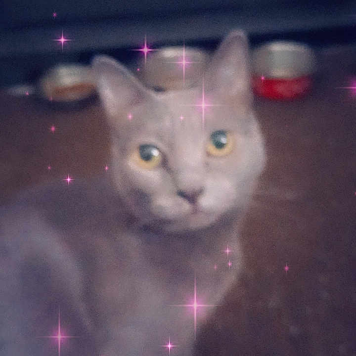 Puttytat