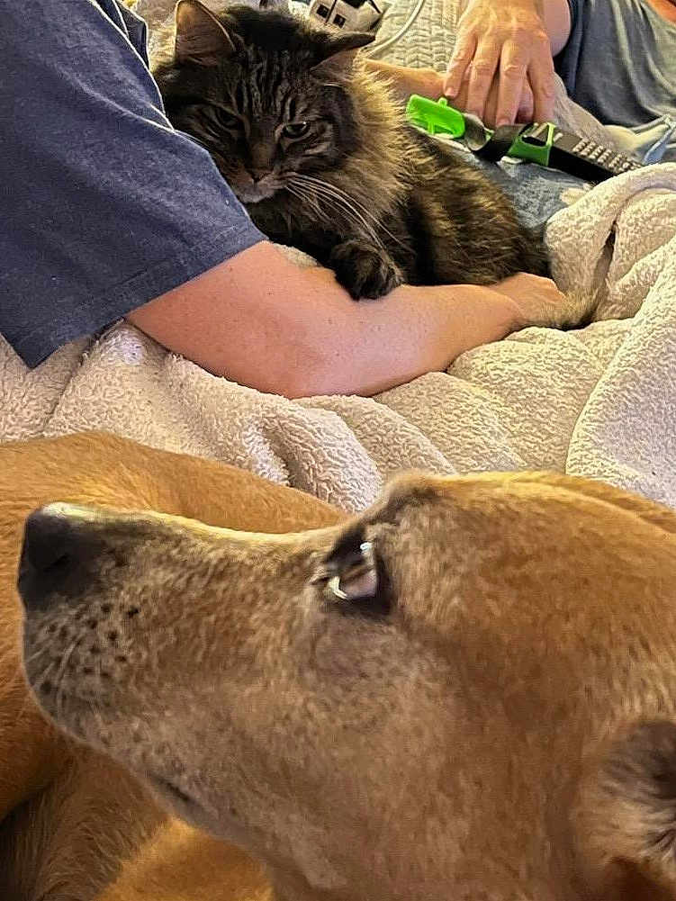Ollie And Paige