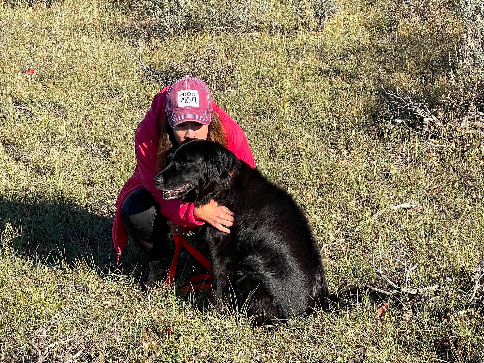 Emma joined the competition — help win amazing prizes! animal_sports, borador, canidae, carnivore, companion_dog, dog, dog_breed, grass, grassland, guard_dog, labrador_retriever, personal_protective_equipment, plant, recreation, retriever, soil, sporting_group, sports, terrestrial_animal, working_animal