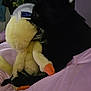 animal, bed, black_dog, blanket, close_up, comfort, cozy, cuddling, cute, dog, fur, indoor, pet, pink_blanket, plush_toy, resting, side_view, soft_toy, stuffed_animal, yellow_duck