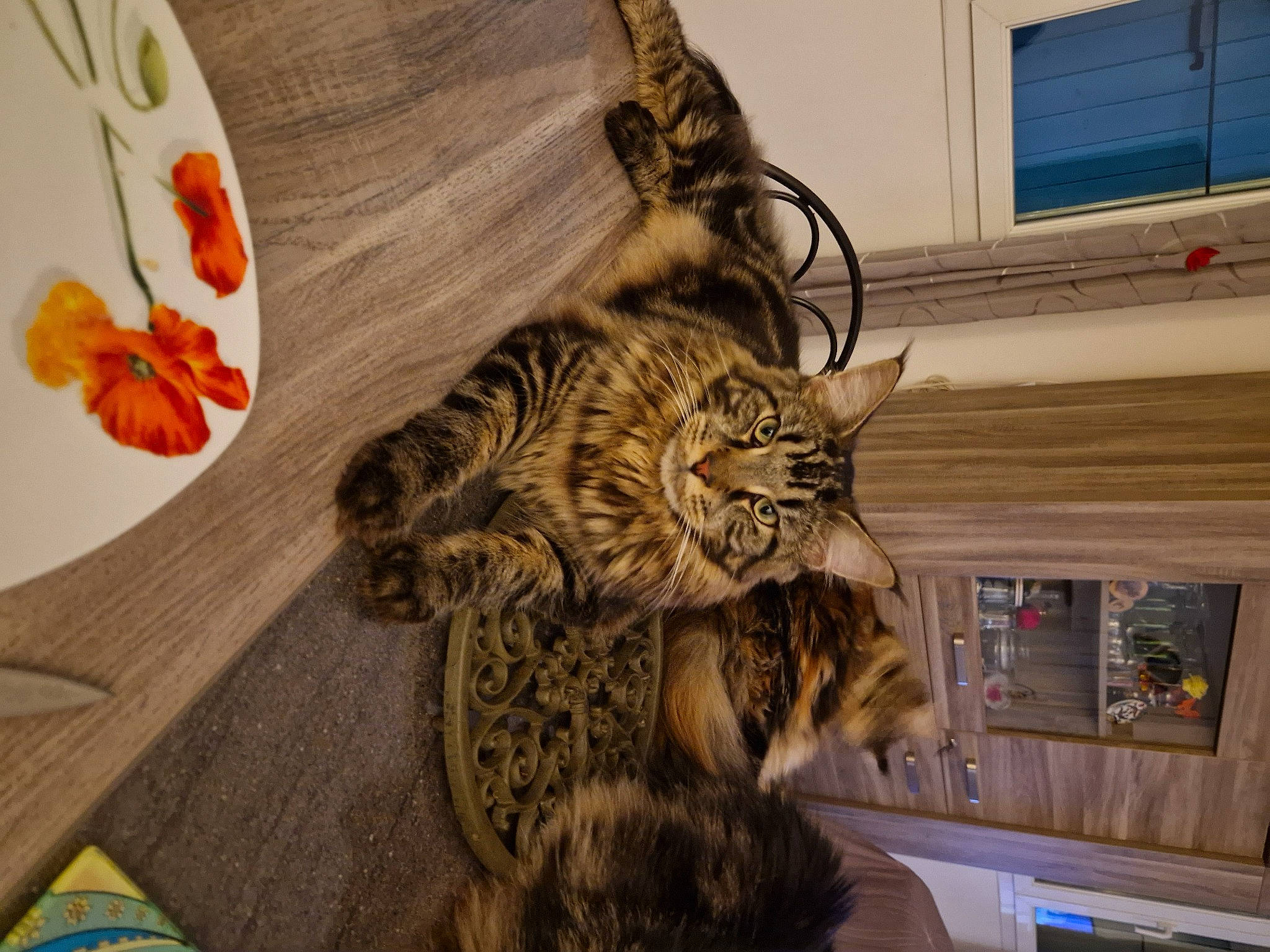 Thanos a rejoint le concours — aidez-le/la à gagner de superbes lots ! big_cats, carnivore, cat, comfort, domestic_short_haired_cat, fashion_accessory, felidae, flooring, fur, linens, pattern, peach, petal, room, small_to_medium_sized_cats, tail, visual_arts, whiskers, window, wood