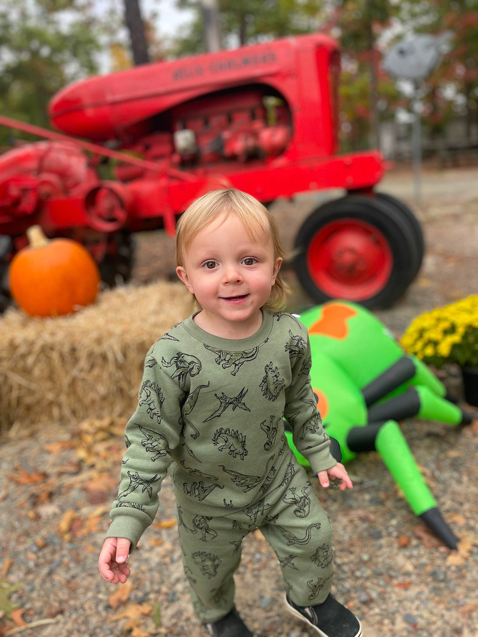 Raylan joined the competition — help win amazing prizes! automotive_tire, botany, calabaza, child, cucurbita, grass, happy, joy, motor_vehicle, nature, orange, people_in_nature, person, plant, pumpkin, smile, tire, toddler, tractor, tree