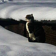 Ziva participe au concours pour gagner de l'argent avec cette photo :