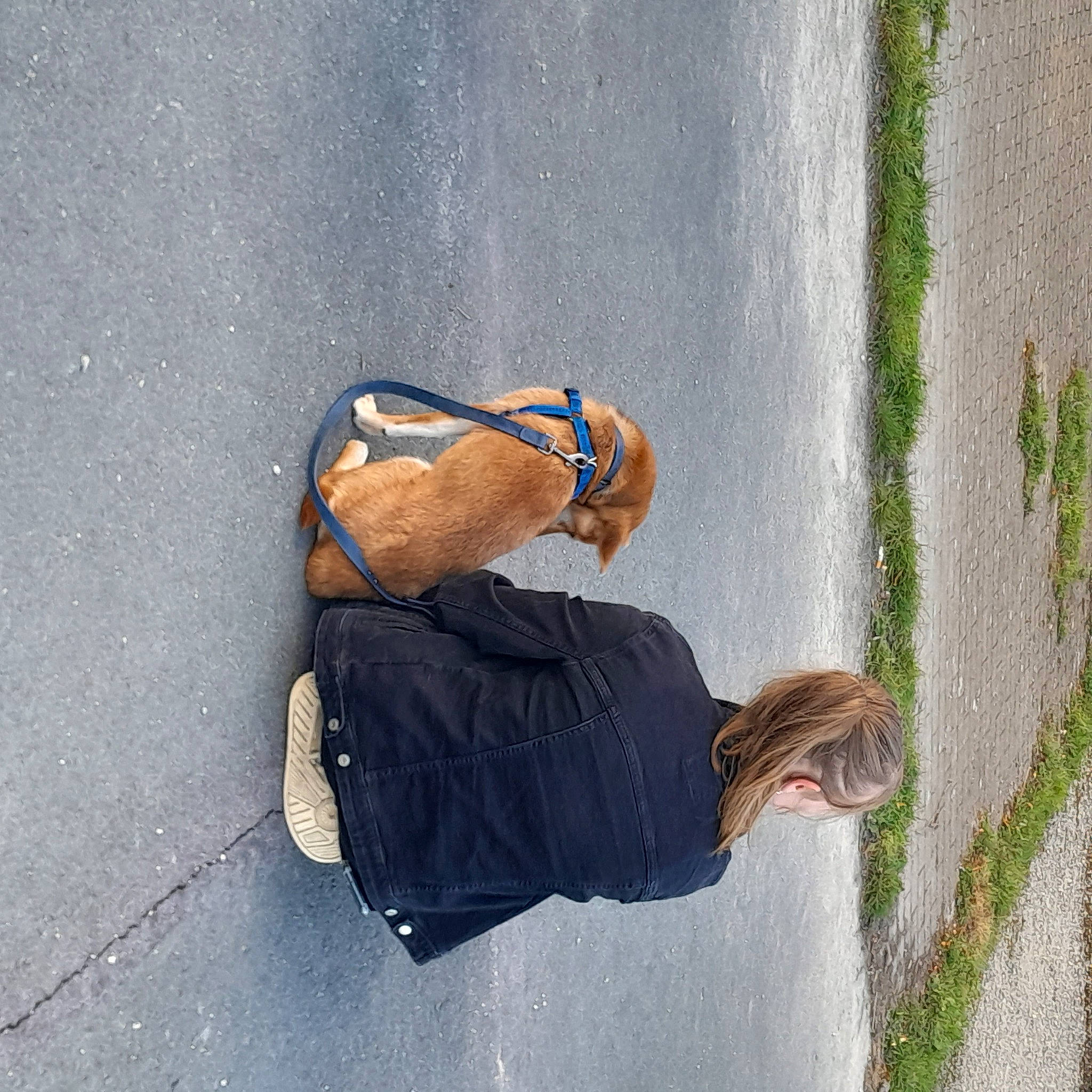 Tulky a rejoint le concours — aidez-le/la à gagner de superbes lots ! asphalt, concrete, denim, eyewear, fun, grass, hat, human_leg, landscape, leisure, people_in_nature, plant, road, road_surface, shadow, sidewalk, sitting, sunglasses, tints_and_shades, tree