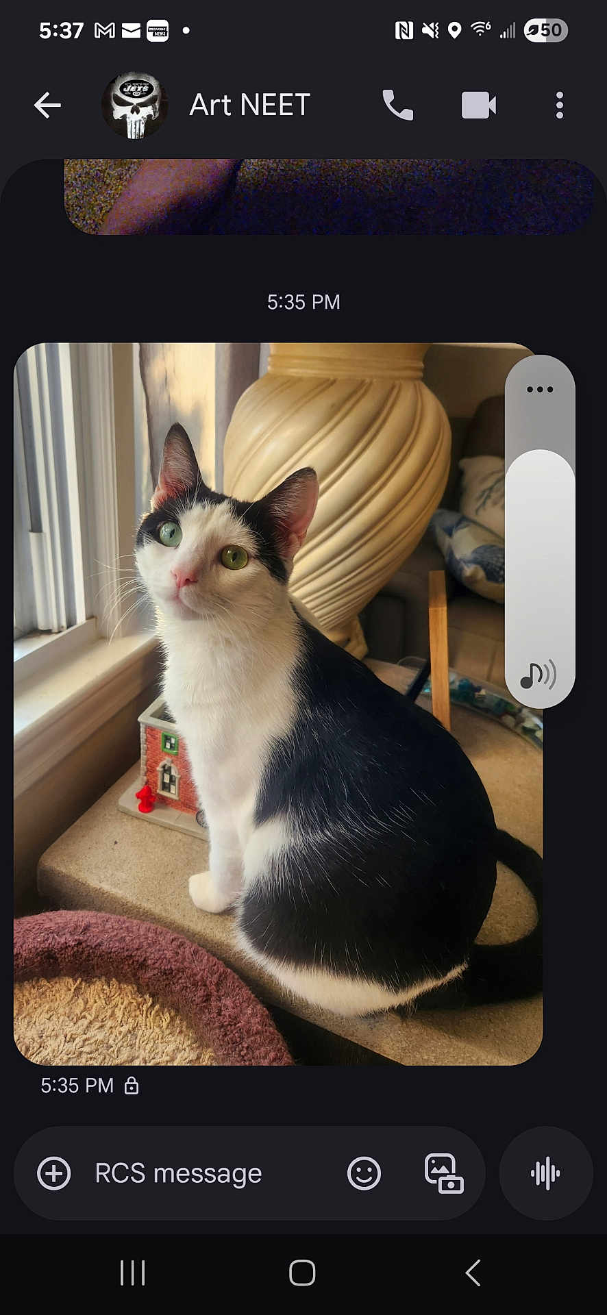 Figaro is registered to the contest to win money with this photo: cat, black_and_white, windowsill, green_eyes, indoor, pet, feline, decor, vase, miniature_house, curious, sitting, cozy, home, furniture, animal, portrait, domestic, window, soft_light
