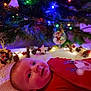 baby, infant, child, smiling, christmas_tree, christmas_lights, ornament, bokeh, festive, red_pajamas, lying_down, cozy, holiday, decoration, closeup, face, ear, blanket, home_interior, soft_lighting