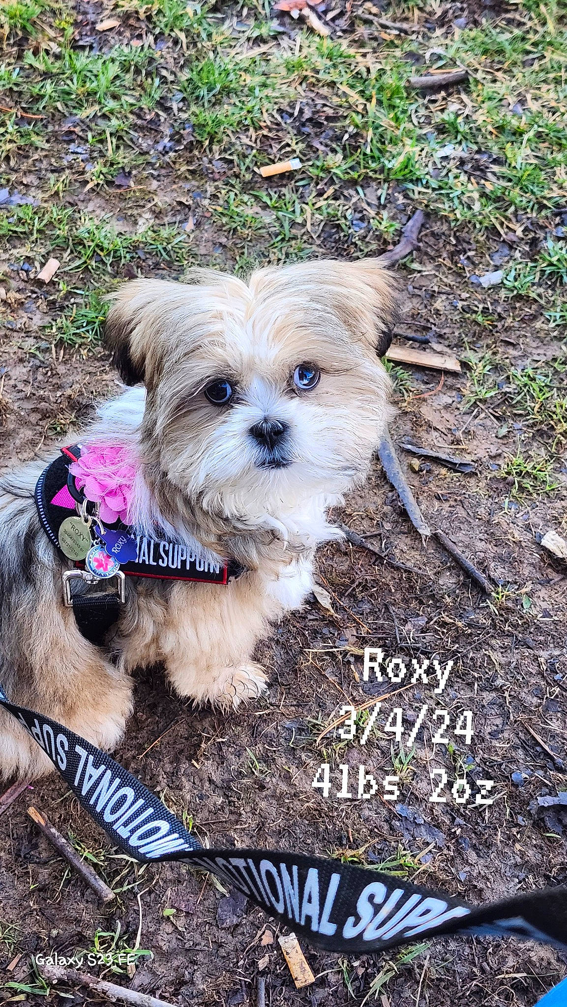 Roxy