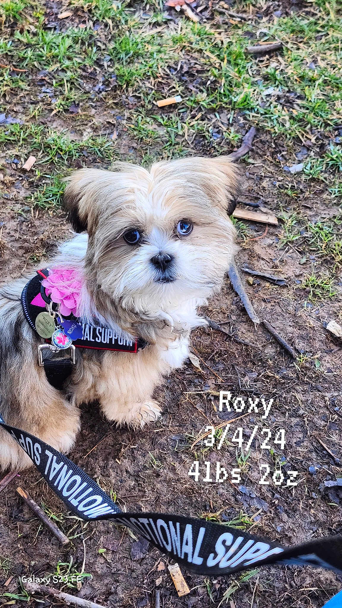 Roxy