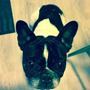 Dolly participe au concours pour gagner de l'argent avec cette photo :