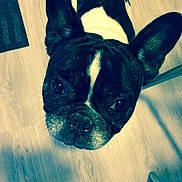 Dolly participe au concours pour gagner de l'argent avec cette photo :