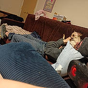 Bandit is registered to the contest to win money with this photo: dog, person, couch, blanket, pillow, hoodie, jeans, shoe, television, remote_control, heater, living_room, indoor, casual, relaxing, clutter, brown_couch, small_dog, striped_pillow, footwear