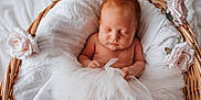 Maïlyne a rejoint le concours — aidez-le/la à gagner de superbes lots ! newborn, baby, sleeping, basket, wicker, tutu, white_fabric, pink_roses, flower, soft, peaceful, infant, cute, portrait, closeup, skin, head, hands, resting, cozy