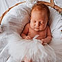 newborn, baby, sleeping, basket, wicker, tutu, white_fabric, pink_roses, flower, soft, peaceful, infant, cute, portrait, closeup, skin, head, hands, resting, cozy