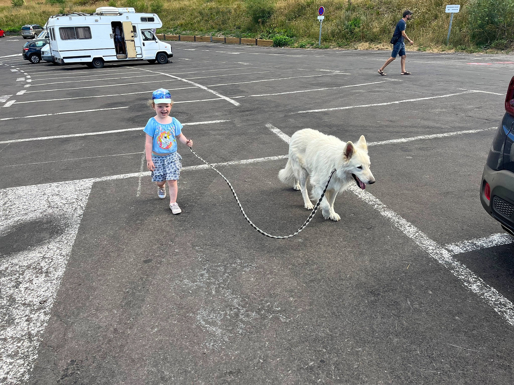 Haiko a rejoint le concours — aidez-le/la à gagner de superbes lots ! asphalt, car, companion_dog, dog_breed, event, infrastructure, motor_vehicle, parking, pedestrian, public_space, road, road_surface, sidewalk, tar, tire, truck, vehicle, vehicle_door, wheel, working_animal