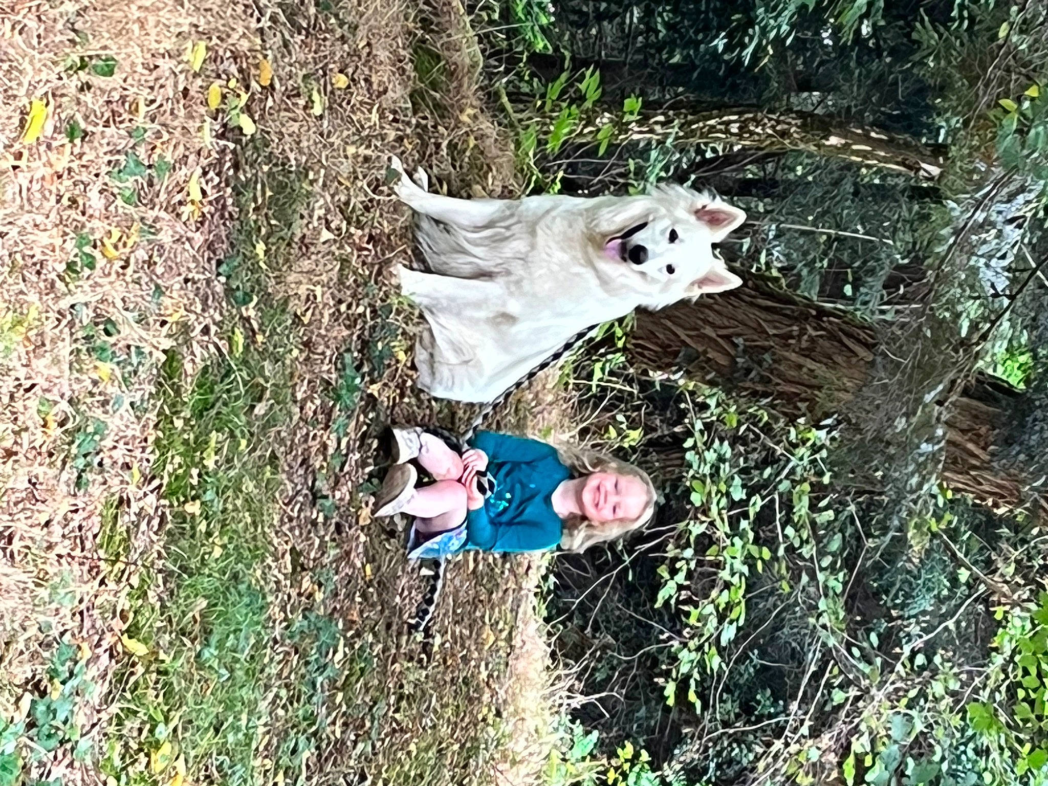 Haiko participe au concours pour gagner de l'argent avec cette photo : fun, grass, happy, leisure, people_in_nature, plant, shrub, smile, tree, trunk, twig, wood, woody_plant