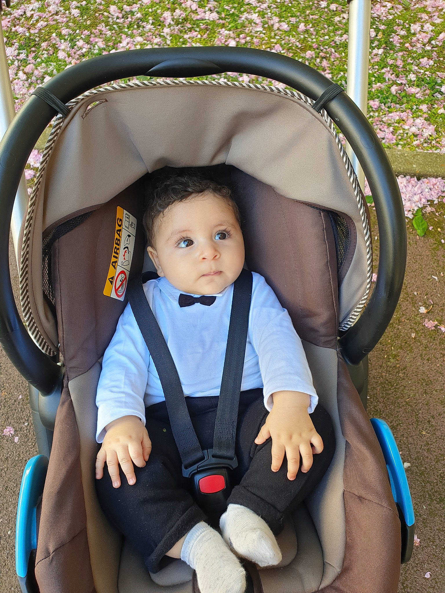 Ewan participe au concours pour gagner de l'argent avec cette photo : baby, baby_carriage, baby_carrier, baby_in_car_seat, baby_products, car_seat, child, comfort, person, product, toddler