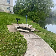 Luna is registered to the contest to win money with this photo: picnic_area, dog, picnic_table, grass, tree, lake, sidewalk, building, sign, flower, outdoor, nature, fog, bench, park, quiet, greenery, pet, summer, landscape