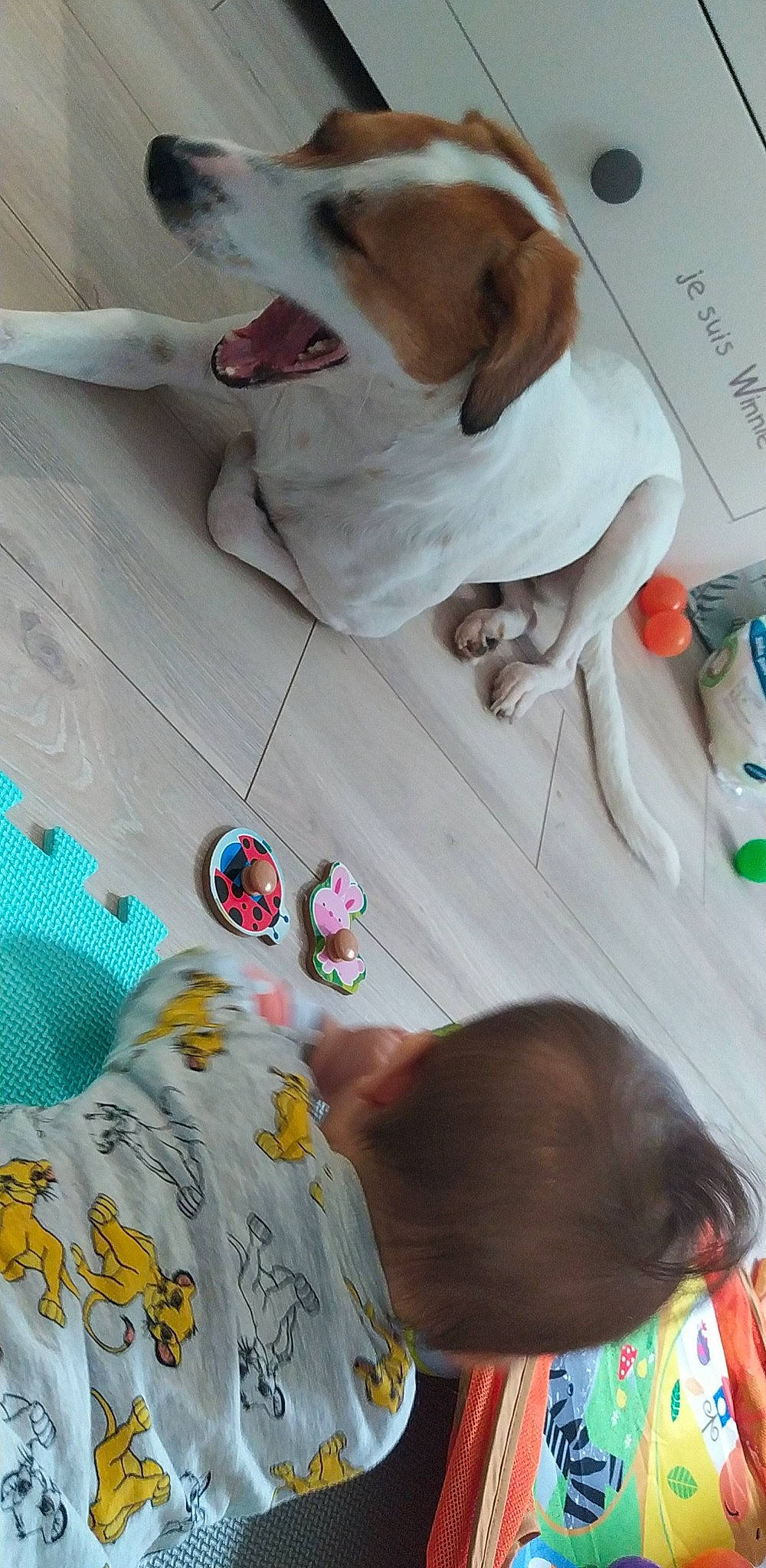 Nala participe au concours pour gagner de l'argent avec cette photo : bag, bed, bedding, bedtime, carnivore, comfort, companion_dog, dog, dog_breed, ear, eyewear, fawn, felidae, fur, linens, sleeve, sunglasses, textile, toddler, white