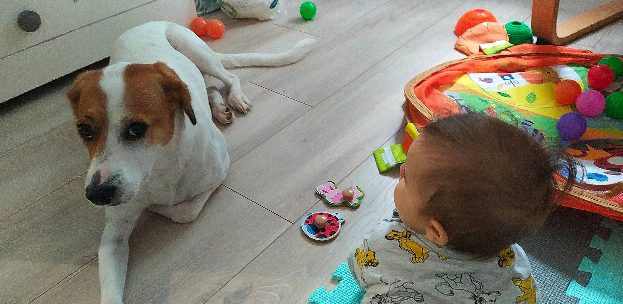 Nala participe au concours pour gagner de l'argent avec cette photo : baby, baby_toddler_clothing, baby_toys, canidae, carnivore, child, companion_dog, dog, dog_breed, flooring, happy, paw, play, sitting, snout, sporting_group, tail, toddler, toy, wood