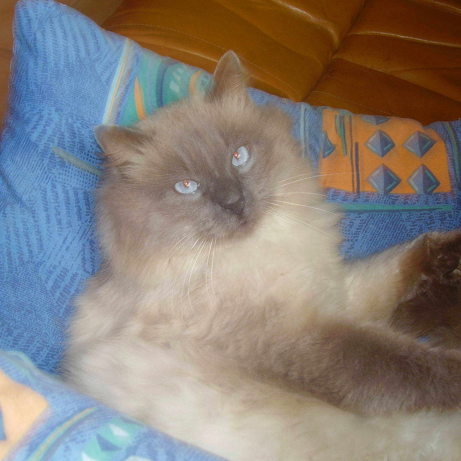 Tziganne