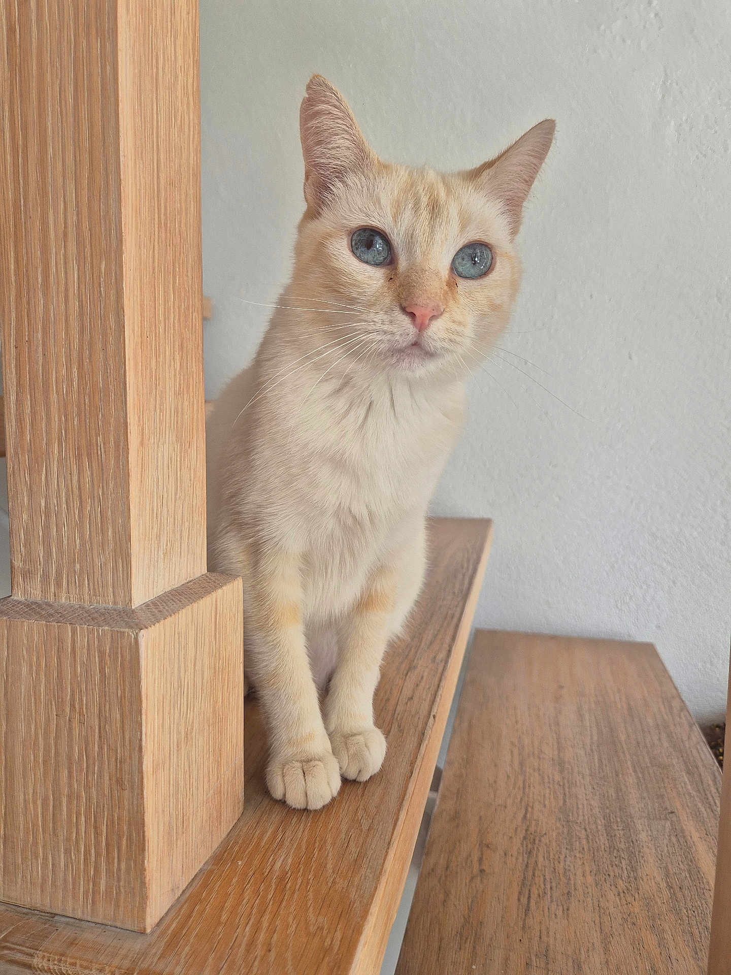 Hera