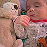 baby, sleeping, teddy_bear, plush_toy, infant, cuddling, blanket, purple_blanket, lion_king, cartoon_print, cute, peaceful, child, soft_toy, bedtime, hand, face, indoors, comfort, resting