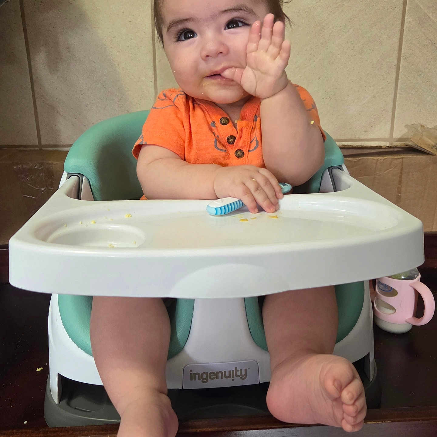 Mateo