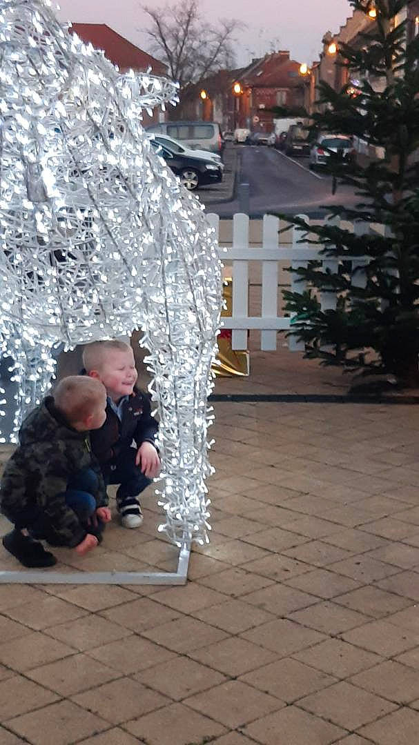 Rose participe au concours pour gagner de l'argent avec cette photo : christmas, christmas_decoration, curious, fir, freezing, holiday, person, play