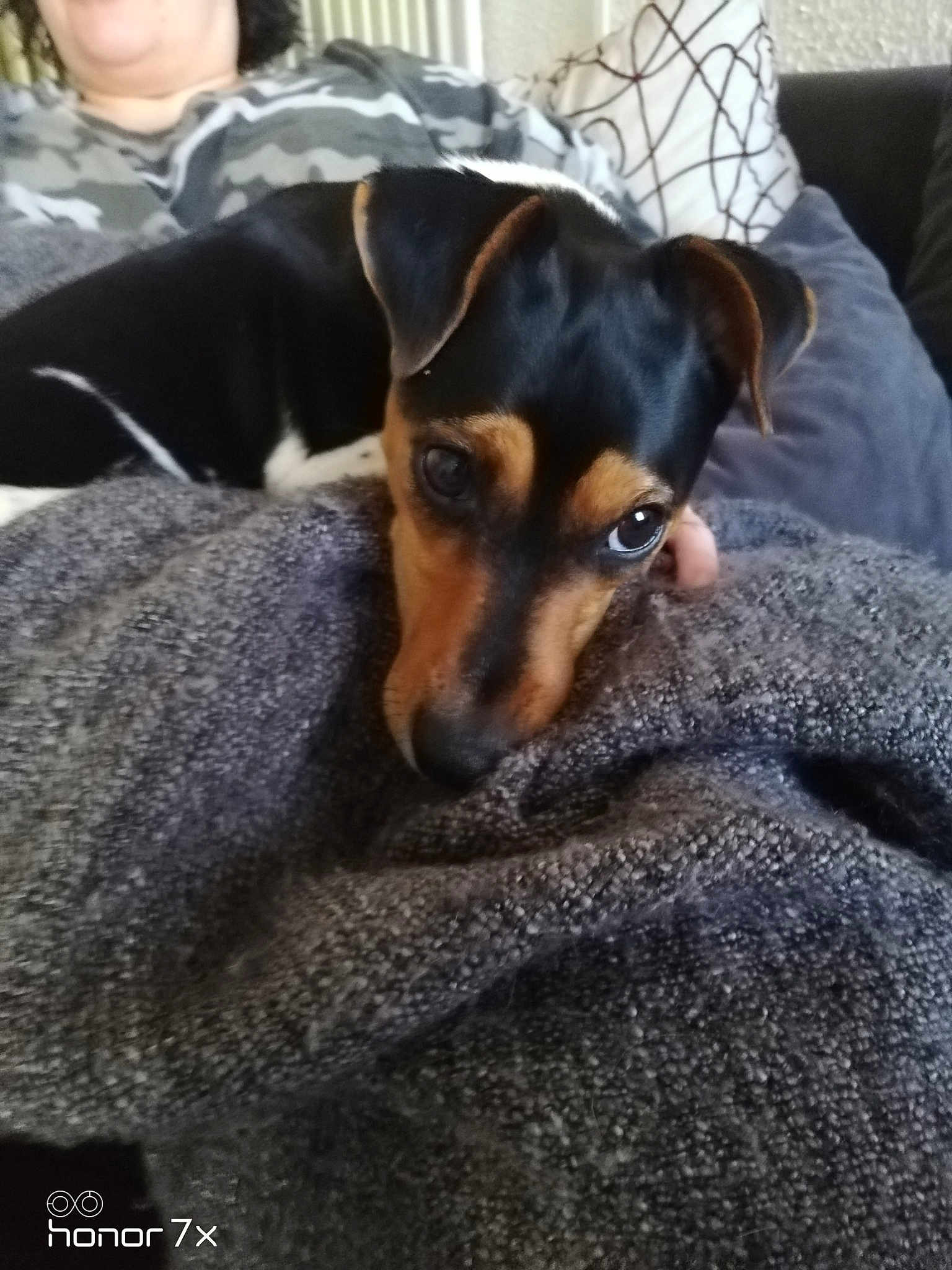 Olly