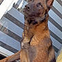 Neila participe au concours pour gagner de l'argent avec cette photo :